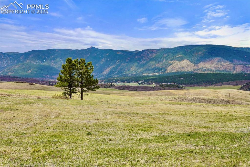 2801 Verbena Drive, Larkspur, CO 80118 — photo 3