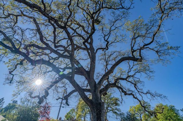 10280 Argonaut Dr, Jackson, CA 95642