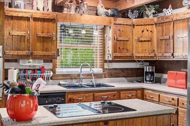 271 Caney Creek Road, Rogersville, TN 37857