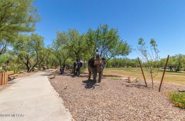 13822 S Camino Acelga, Sahuarita, AZ 85629