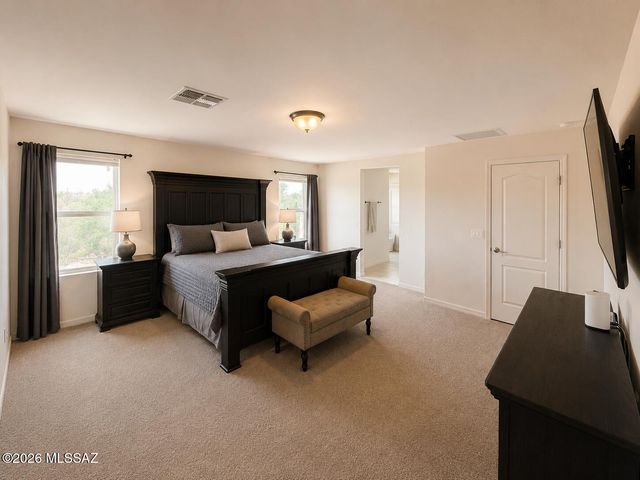 13822 S Camino Acelga, Sahuarita, AZ 85629