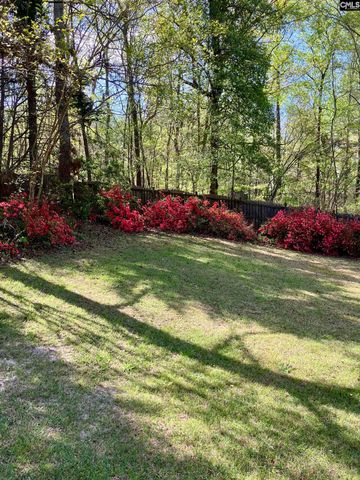 129 Athena Lane, Lexington, SC 29072