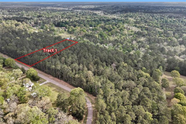 TBD- TR1 Cedar Lane Loop, Willis, TX 77378