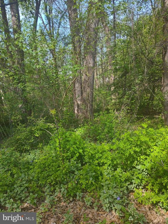 GEORGETOWN RD SE, Chestertown, MD 21620