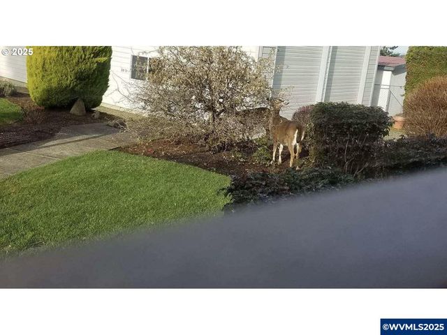 6553 Rippliing Brook SE Dr, Salem, OR 97317