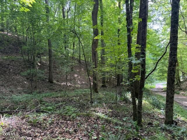 0 Cane Mountain Lane, Burnsville, NC 28714