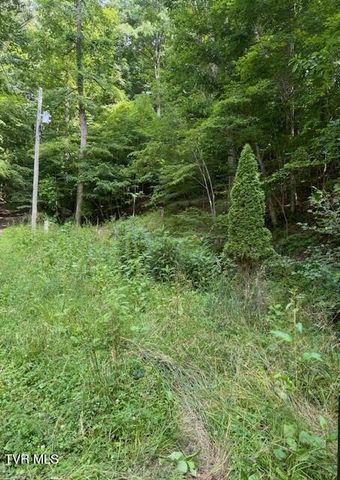 0 Cane Mountain Lane, Burnsville, NC 28714