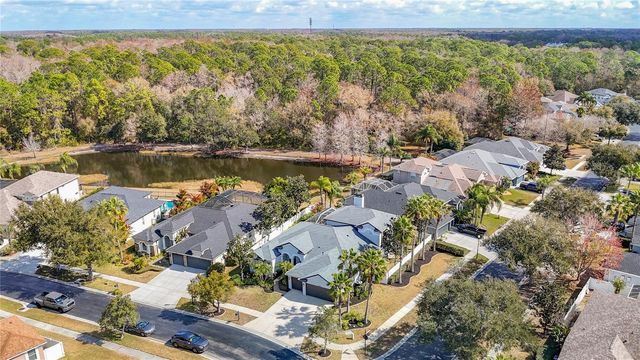 12628 STANWYCK CIRCLE, Tampa, FL 33626