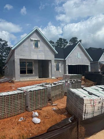 16855 Deep Wingbeat Way, Magnolia, TX 77354