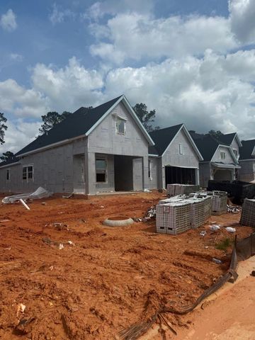 16855 Deep Wingbeat Way, Magnolia, TX 77354