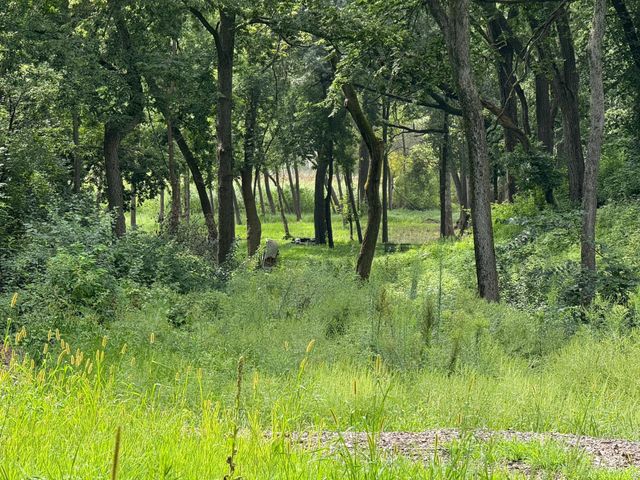 3325 Overlook Drive, Bloomington, MN 55431