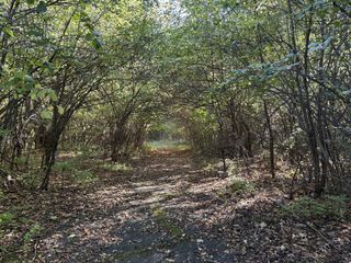 VL 40 Clinton Way, Jackson, MI 49201