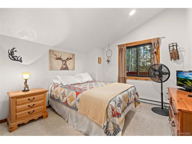 838 Silver Creek Rd, Idaho Springs, CO 80452
