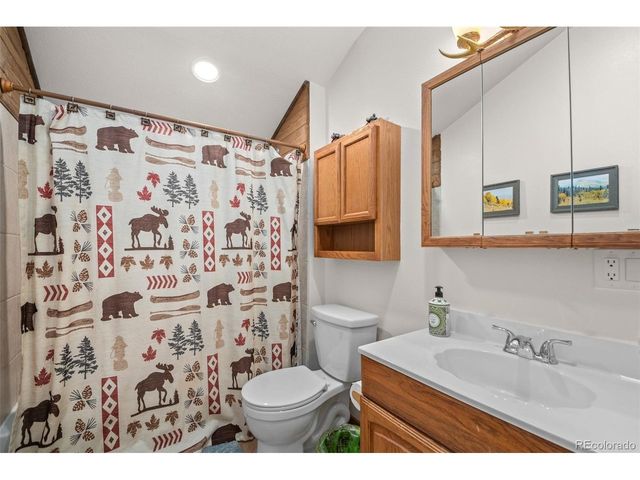 838 Silver Creek Rd, Idaho Springs, CO 80452