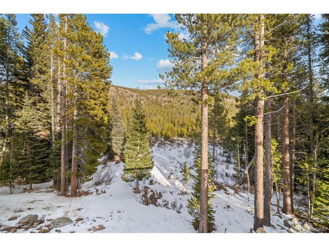 838 Silver Creek Rd, Idaho Springs, CO 80452