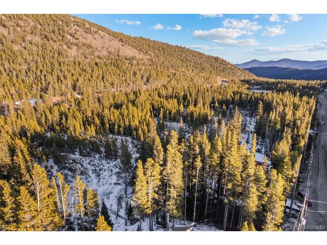 838 Silver Creek Rd, Idaho Springs, CO 80452