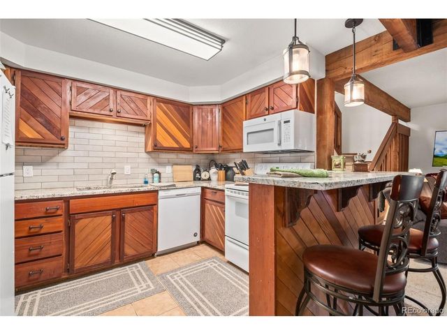 838 Silver Creek Rd, Idaho Springs, CO 80452