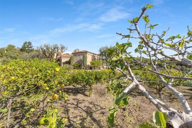 30662 Hilltop Way, San Juan Capistrano, CA 92675