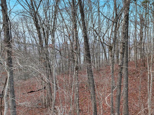 0 Teludachee Lot 5, South Pittsburg, TN 37380