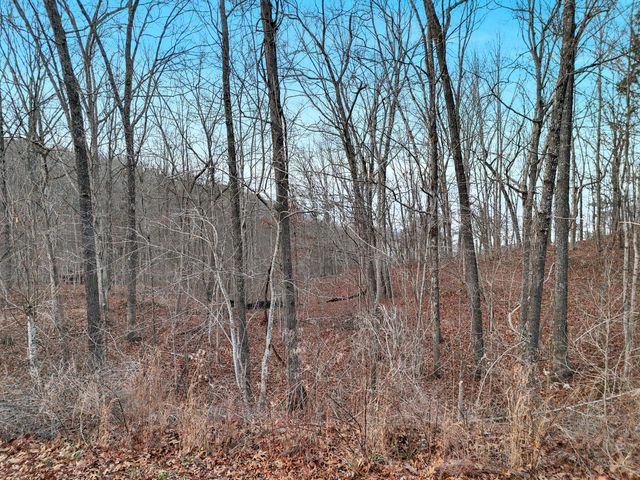 0 Teludachee Lot 5, South Pittsburg, TN 37380
