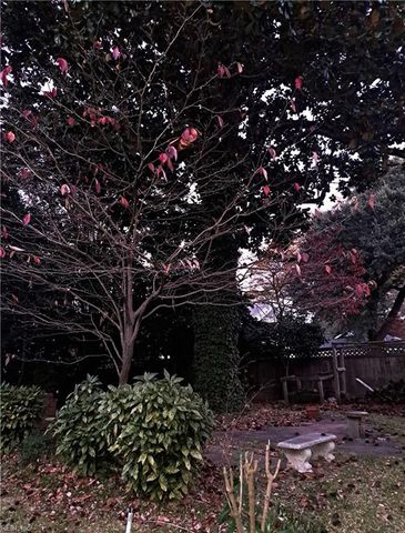 1318 Monterey AVE, Norfolk, VA 23508