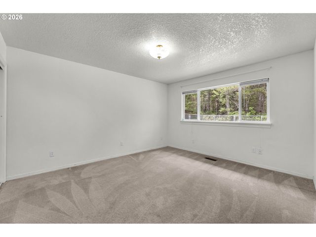 201 JOSHEANKA Dr, Carson, WA 98610