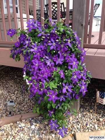 2100 NW 45Th Street, Lincoln, NE 68528