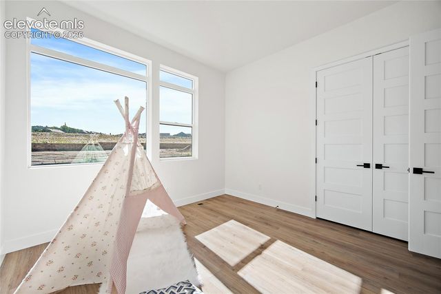 17358 Crimson Clover Drive, Monument, CO 80132