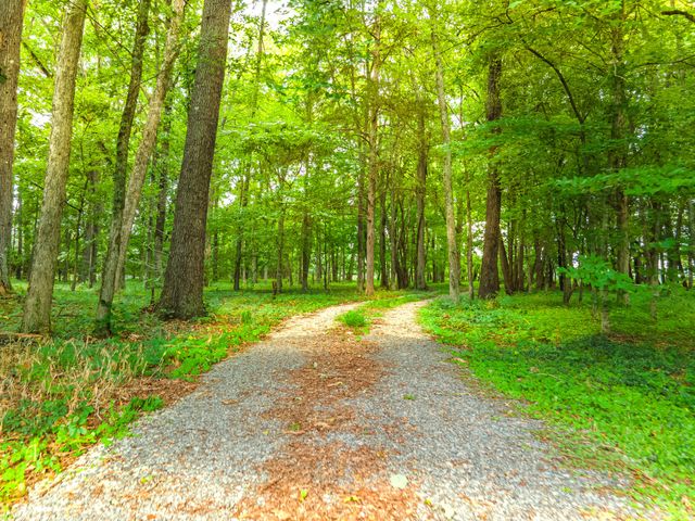 2756 Glasscock Rd, Lewisburg, TN 37091