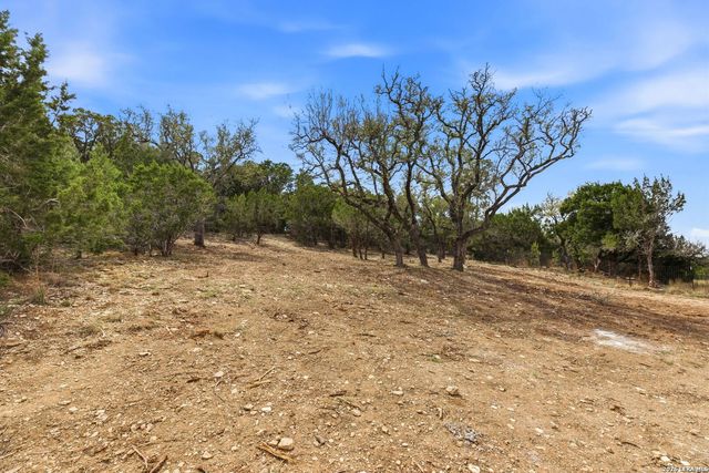 684 Appaloosa, Fischer, TX 78623