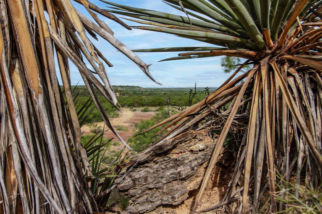 Image 21 of property listing at 3400 Fm765, Brady, TX 76825