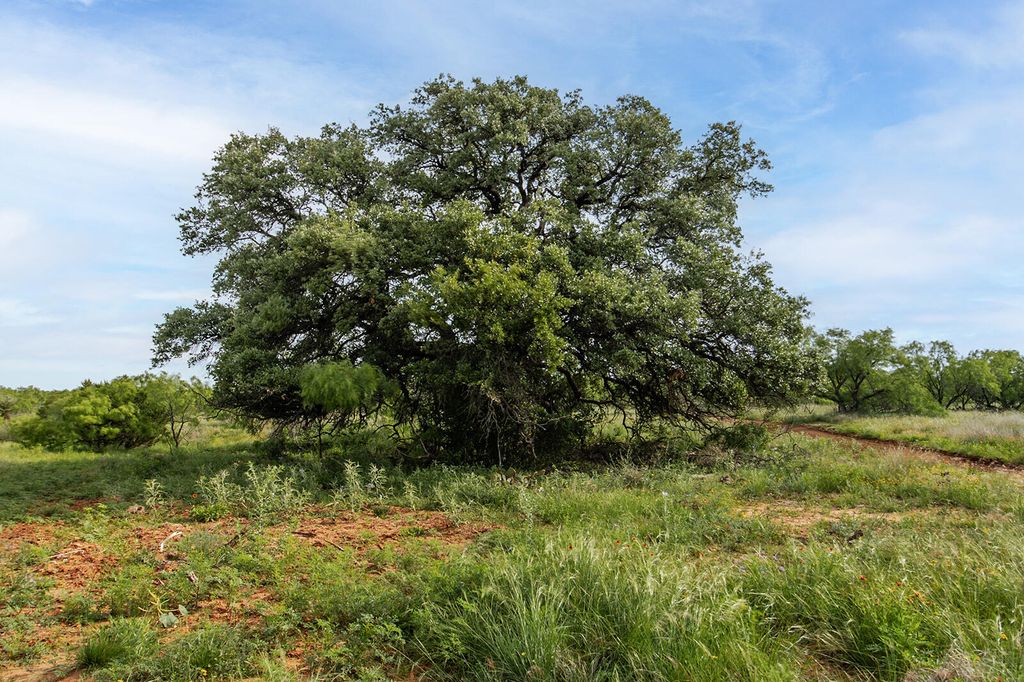 Image 9 of property listing at 3400 Fm765, Brady, TX 76825