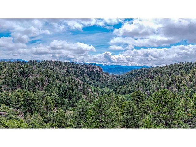 62 Cheyenne Rd, Florissant, CO 80816