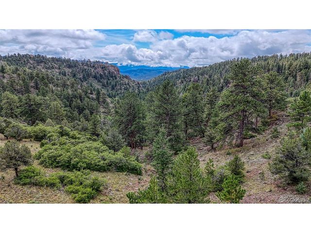 62 Cheyenne Rd, Florissant, CO 80816