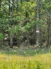 Lot 4 Pleasant Ridge Road, Greers Ferry, AR 72067