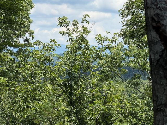 271 Cloud Les Lane, Murphy, NC 28906