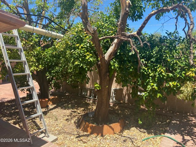 310 W Canada Street, Tucson, AZ 85706