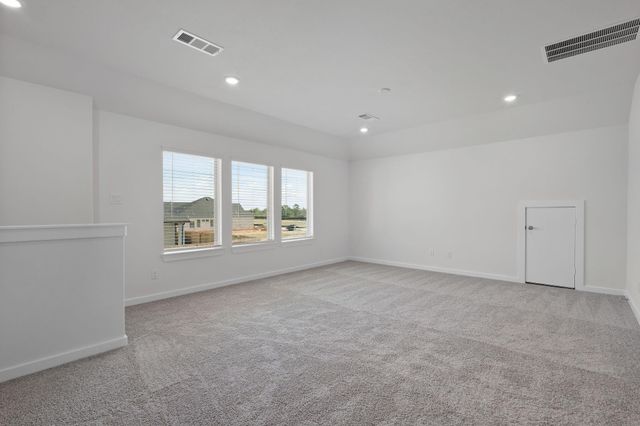 308 Goldeneye Duck Drive, Waller, TX 77484