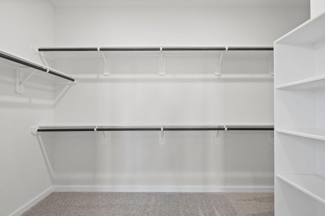 308 Goldeneye Duck Drive, Waller, TX 77484