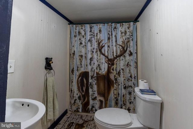 993 PINCHY RD, Morrisdale, PA 16858