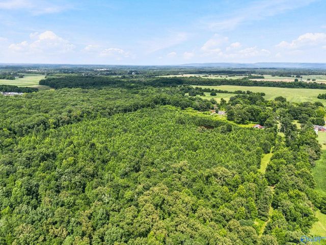 460 Jimmy Fisk Road, Hazel Green, AL 35750