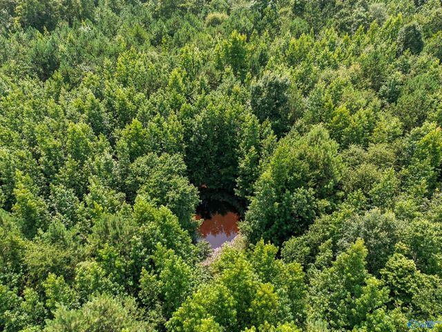 460 Jimmy Fisk Road, Hazel Green, AL 35750