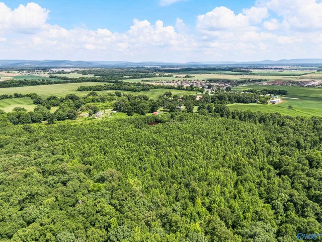 460 Jimmy Fisk Road, Hazel Green, AL 35750