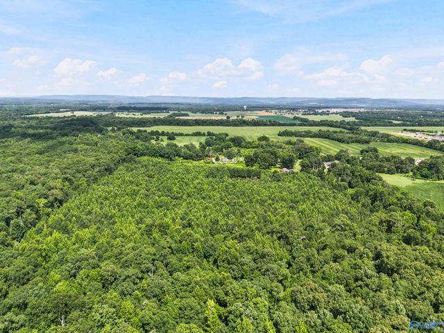 460 Jimmy Fisk Road, Hazel Green, AL 35750