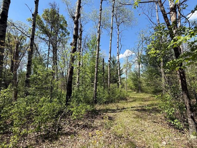 1310 S Cree Drive, Friendship, WI 53934