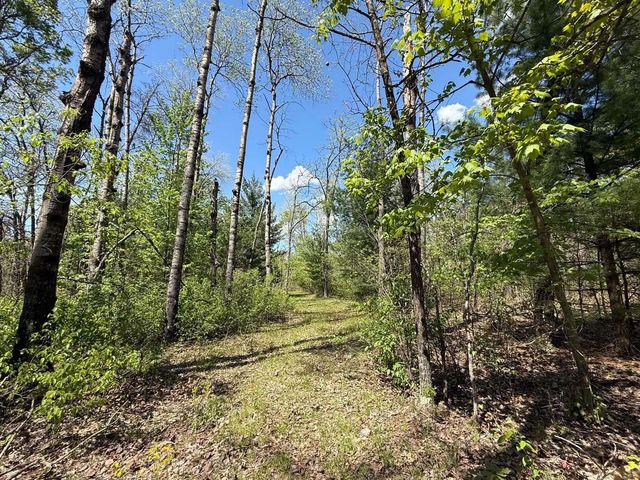 1310 S Cree Drive, Friendship, WI 53934