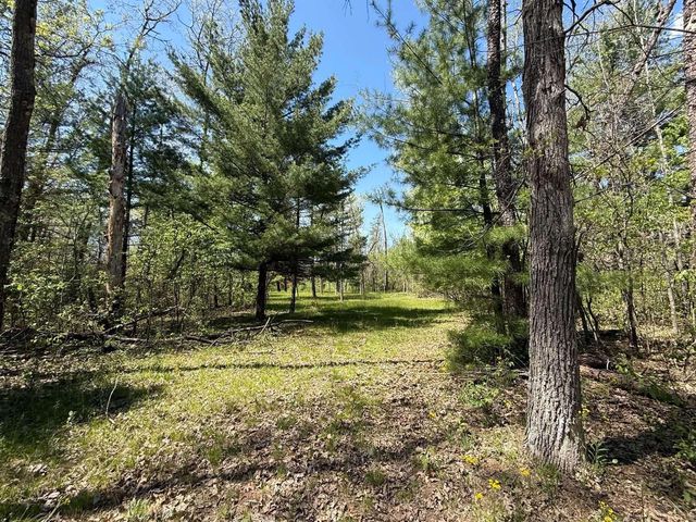1310 S Cree Drive, Friendship, WI 53934