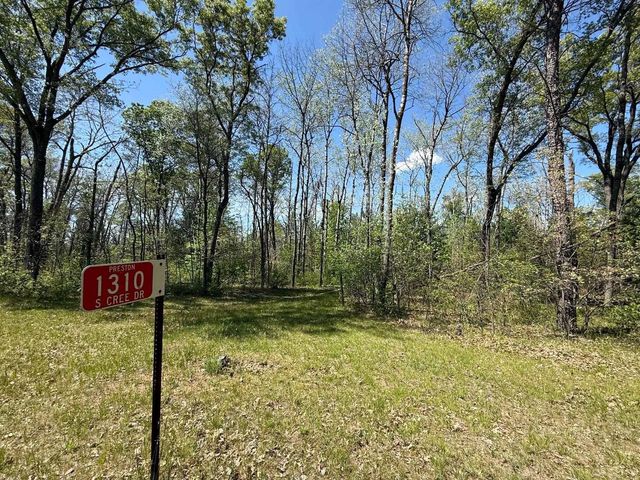 1310 S Cree Drive, Friendship, WI 53934