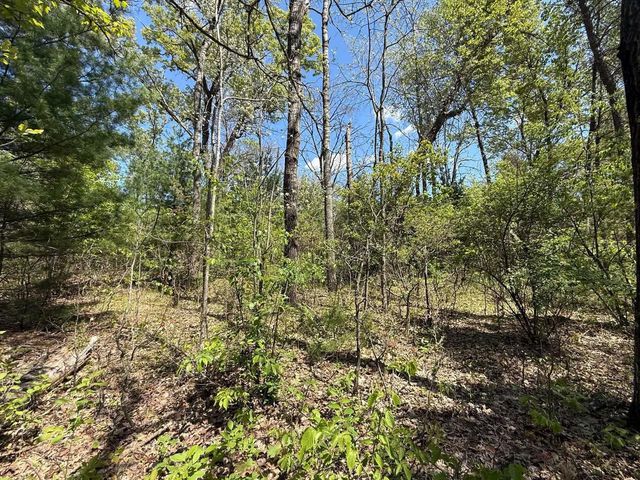 1310 S Cree Drive, Friendship, WI 53934