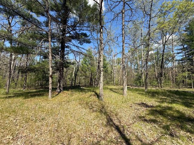 1310 S Cree Drive, Friendship, WI 53934